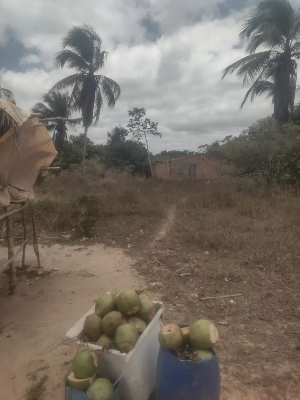 VENDO TERRENO EM JAPARATUBA SERGIPE - Foto 2
