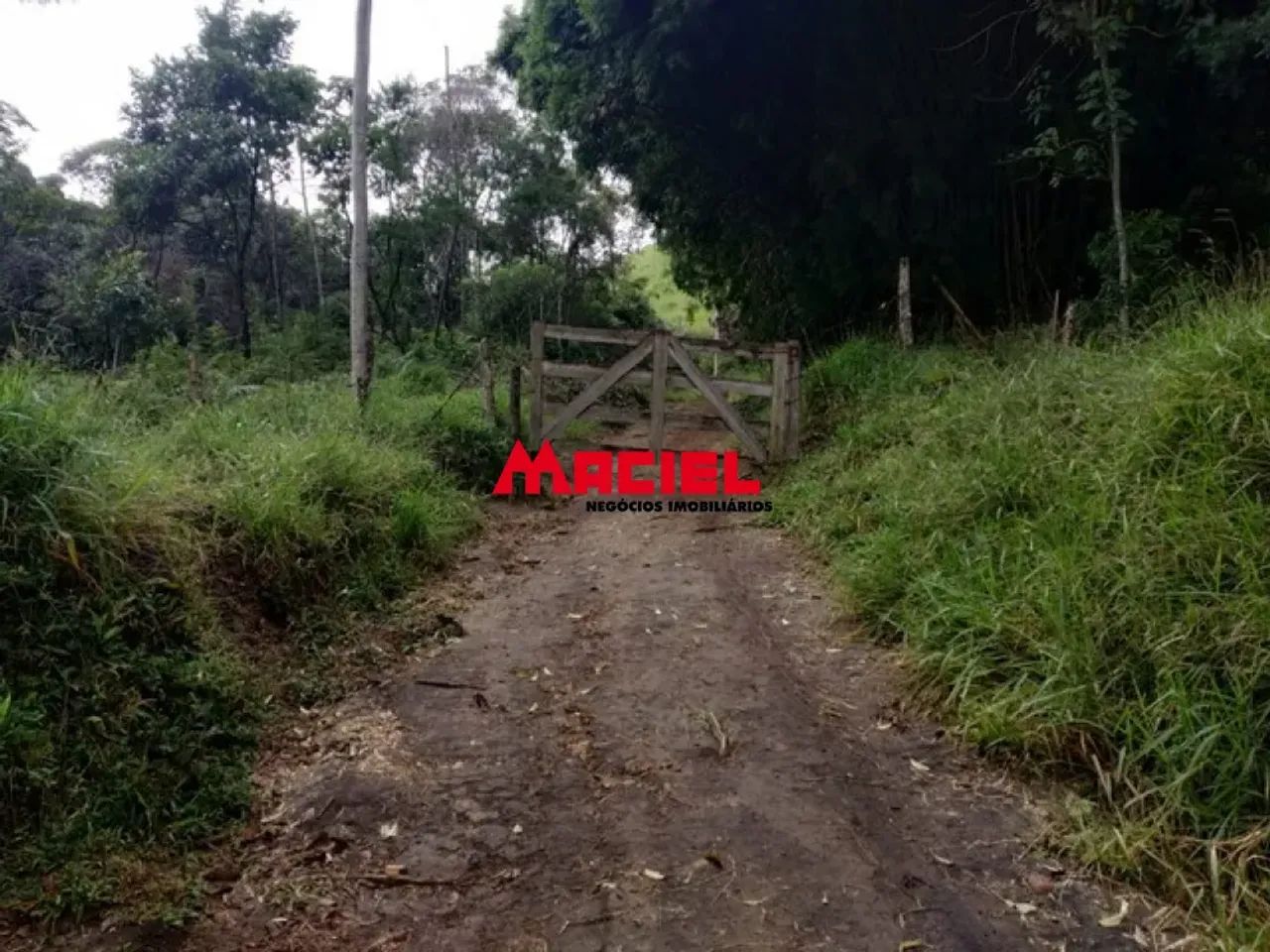 Sítio de 10 alqueires em Monteiro LObato - Foto 2