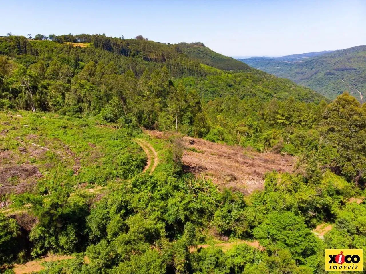 Sítio / Chácara para Venda em Nova Petrópolis, São Jacó - Foto 8