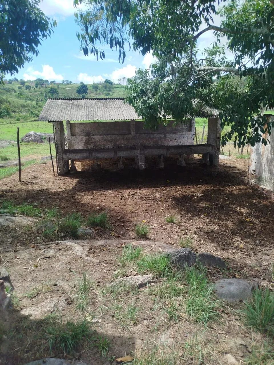 Sítio Mocotó - Vitória de Santo Antão - PE - Foto 2