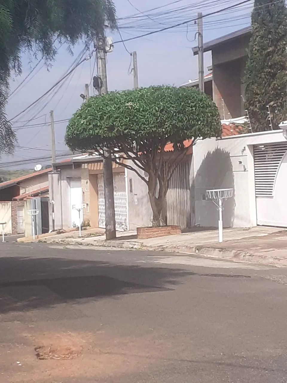 Poda de árvores e jardinagem  - Foto 5