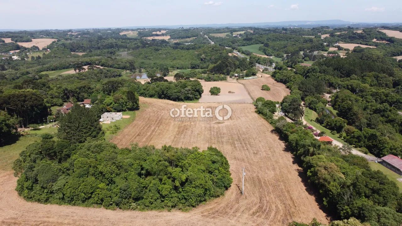 Terreno em Araucária - Foto 5