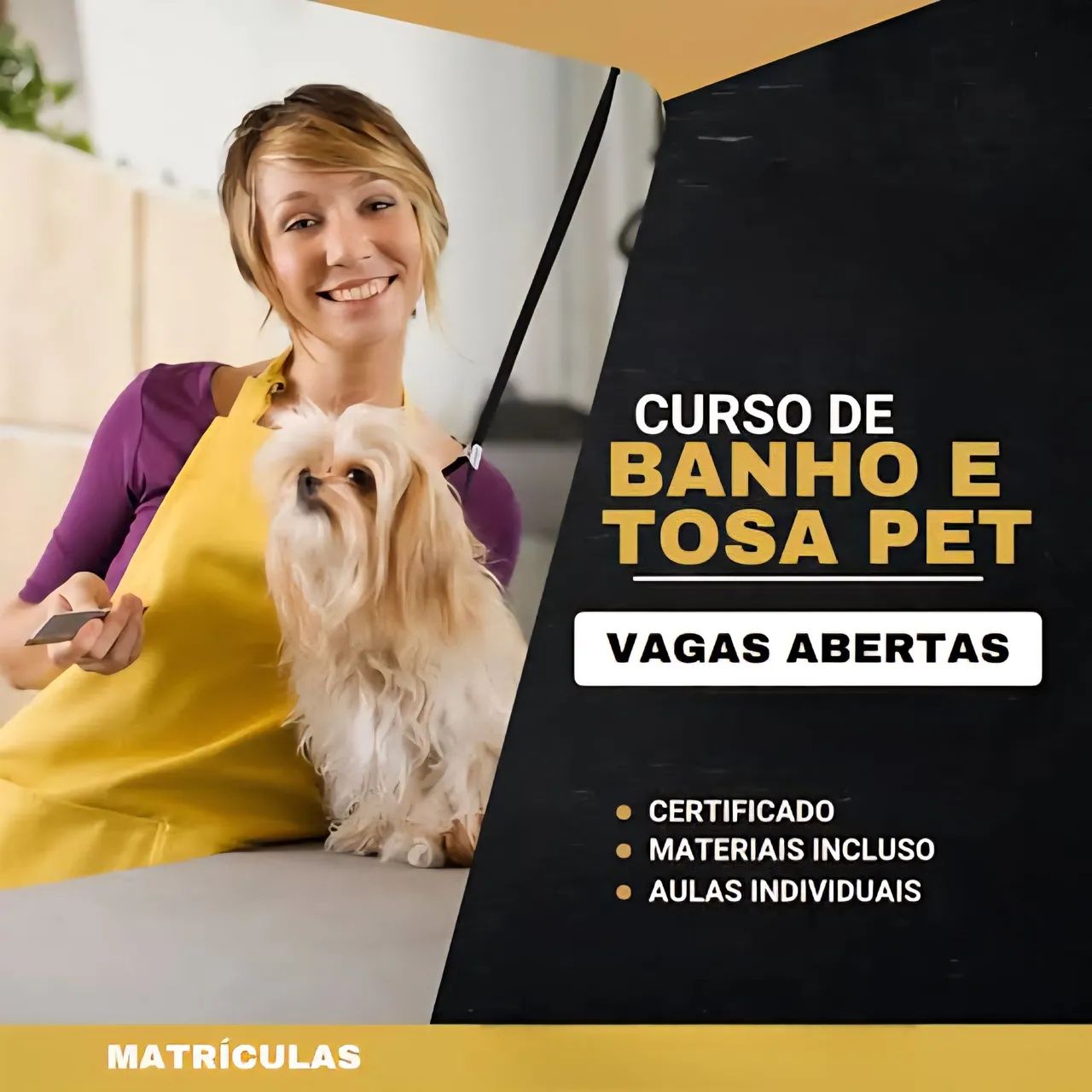Cursos de Banho e Tosa com Estágio e Certificado - Aprenda com Especialistas!