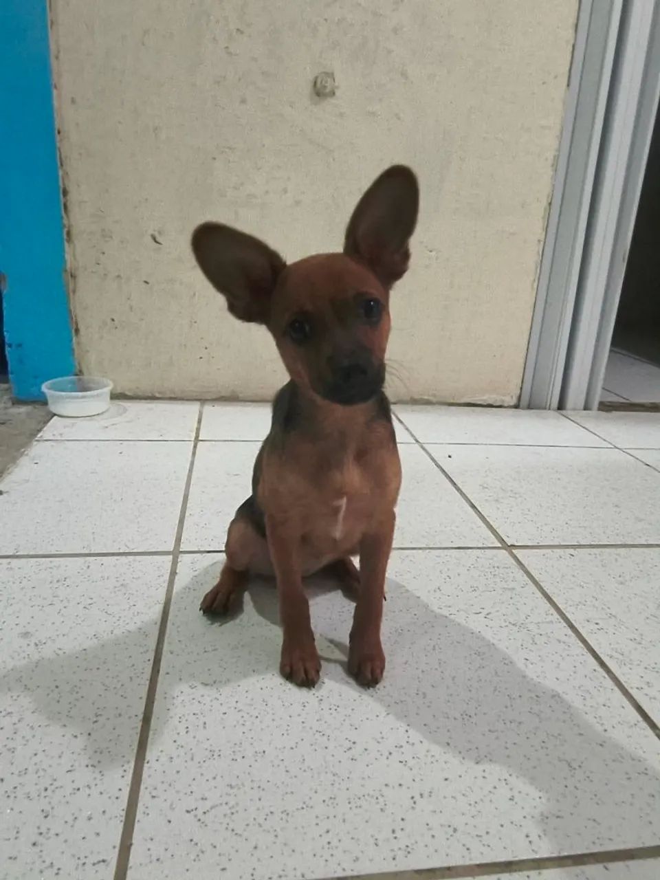 Doação