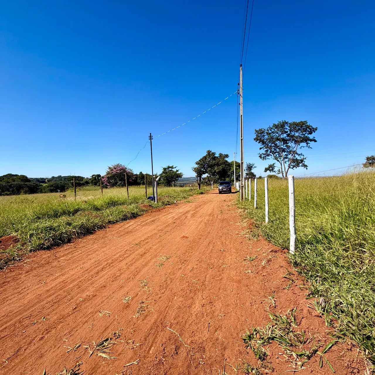 Chácara de 1.000m2 e 2.000m2 à 32 km de Goiânia!  - Foto 3