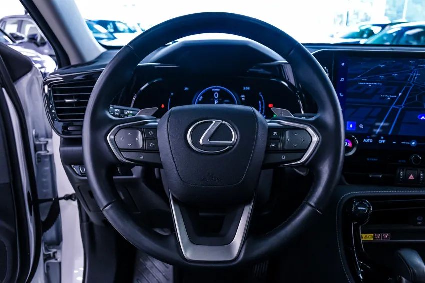Lexus NX-350h Luxury 2.5 16V Aut. (hybrid), foto 15 de 19