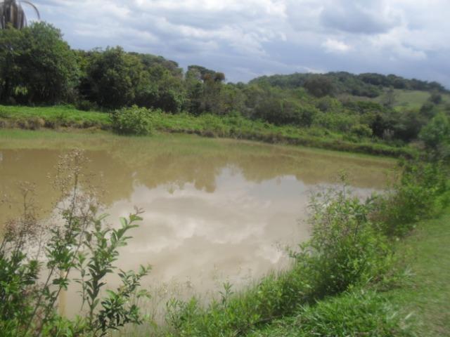 Fazenda com 22 hectares em Rio Manso - Foto 20
