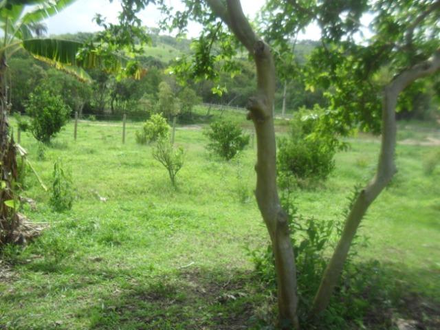 Fazenda com 22 hectares em Rio Manso - Foto 7