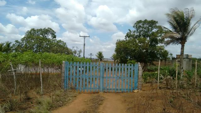 Ótima propriedade de 7.5 hectares, próximo a Lagoa de Itaenga-PE