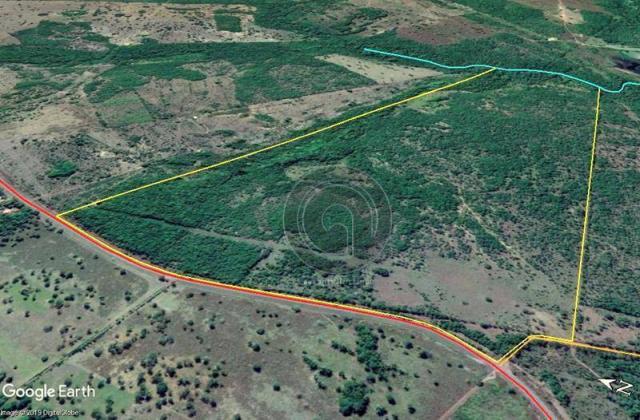 Fazenda 100 ha em acorizal - Foto 15