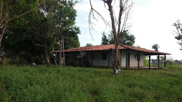 Fazenda na BR 135 - Foto 5
