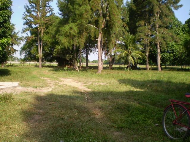 Área 32 Hectares na BR 316 Km 21 ao lado da Policia Rodoviária e Verbras - Foto 9