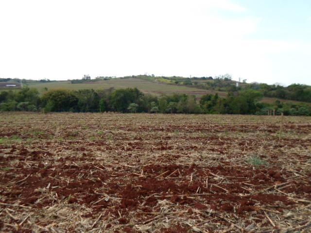 Chácara de lazer - Foto 4