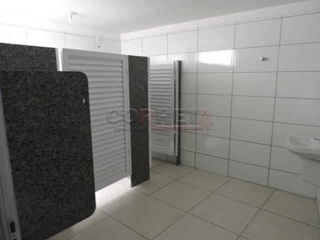 Galpão/depósito/armazém para alugar em Paraiso, Aracatuba cod:L32231 - Foto 4
