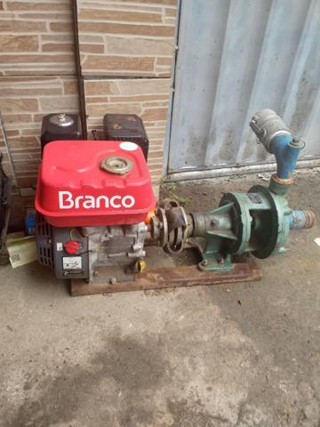 Motor branco 5.5 com bomba thebe 30cv