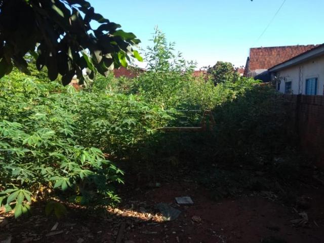 Terreno à venda em Agua branca ii, Aracatuba cod:V54431 - Foto 3