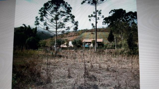Chácara à venda em Das colinas macacos, Silveiras cod:1495 - Foto 4