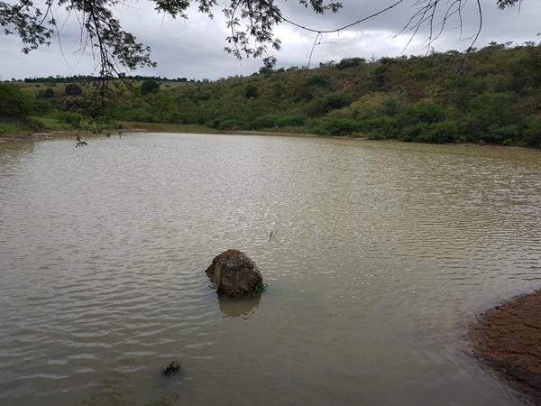 Vendo fazenda de Pecuária com 1.720 hectáres - Foto 3