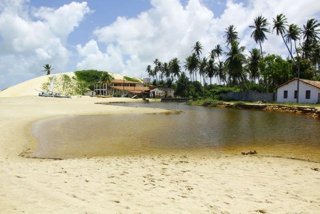 Vendo Área na beira mar da Praia de Pititinga - Foto 11