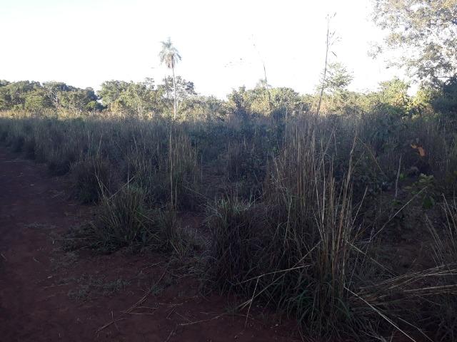 Chácara a 9 km de Acorizal com 38.2 hectares - Foto 11