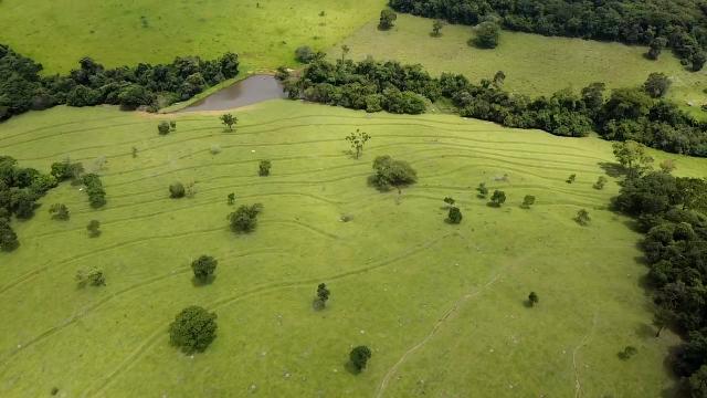 Fazenda 20 alqueires em Piracanjuba - Foto 9