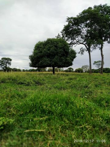 Chácara no município de Cariri do Tocantins - Foto 3