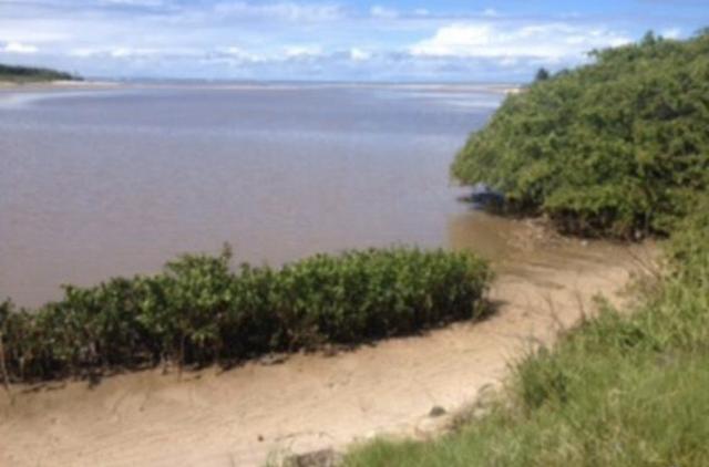 Terreno em barra de Santo Antônio beira mar , beira rio - Foto 3