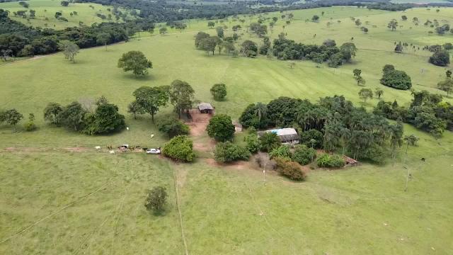 Fazenda 20 alqueires em Piracanjuba - Foto 5
