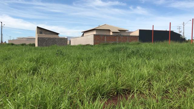 Lote alto do trindade (ÁGIO) - Foto 2