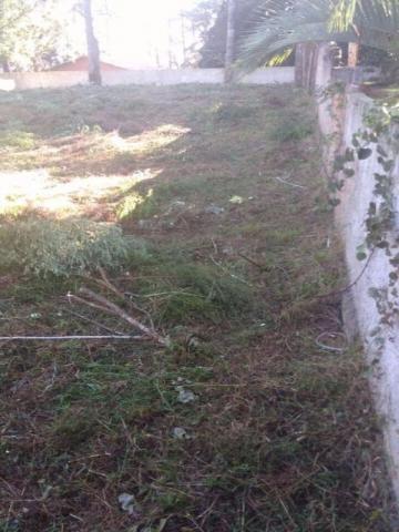TERRENO RESIDENCIAL À VENDA, PINHEIRINHO, CURITIBA - TE0173. - Foto 2