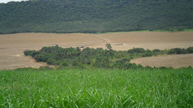 Fazenda de 67 alqueires para lavoura a venda na região de Paraúna GO - Foto 9