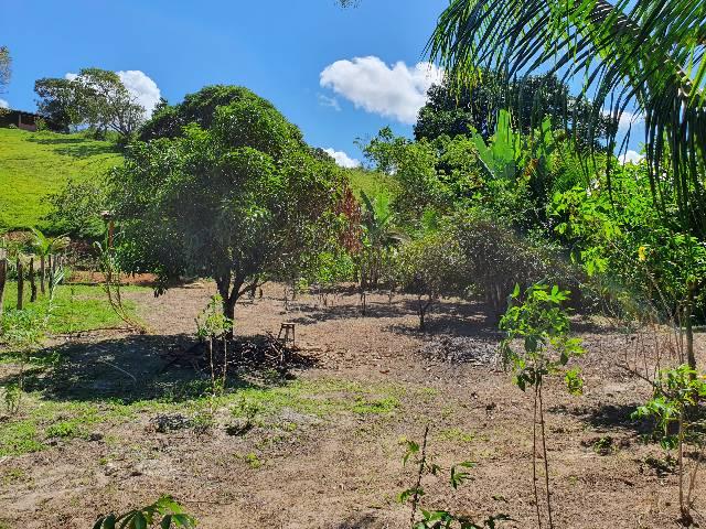 PROMOCAO* Vende-se Chácara em Aldeia Velha -Guarapari-es - Foto 2