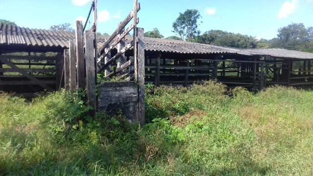 Sítio no Pará,20 hectares com pasto, curral, casa ,igarape por 250 mil reais