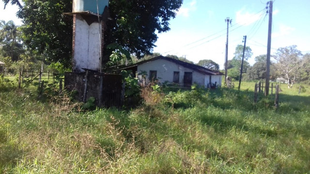 Sítio no Pará,20 hectares com pasto, curral, casa ,igarape por 250 mil reais - Foto 3