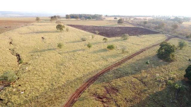 Chácara 24 Hectares Terra Boa Jaraguari ! - Foto 3