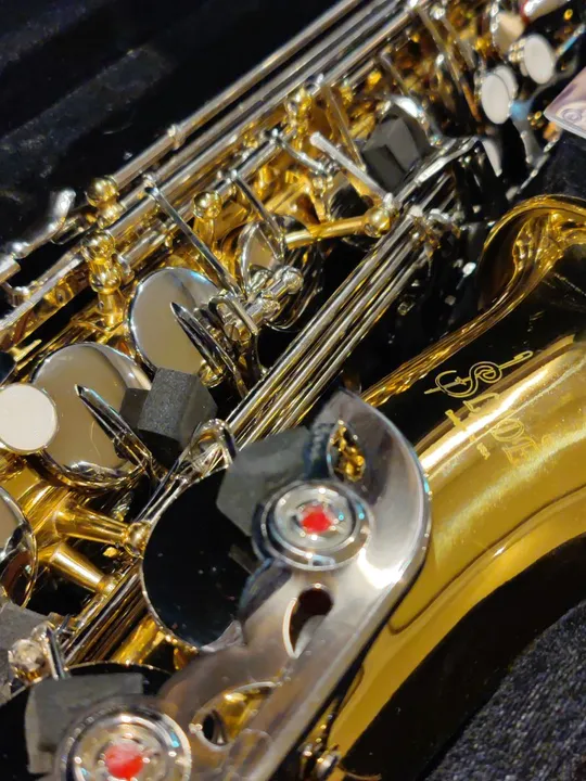 Sax Alto Novo Amadeu Russo Nabor Pires Camargo Almeida Dias Klose