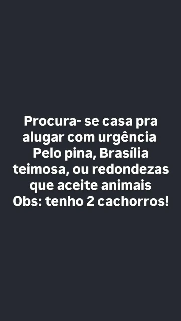 Foto - Recife - Pina