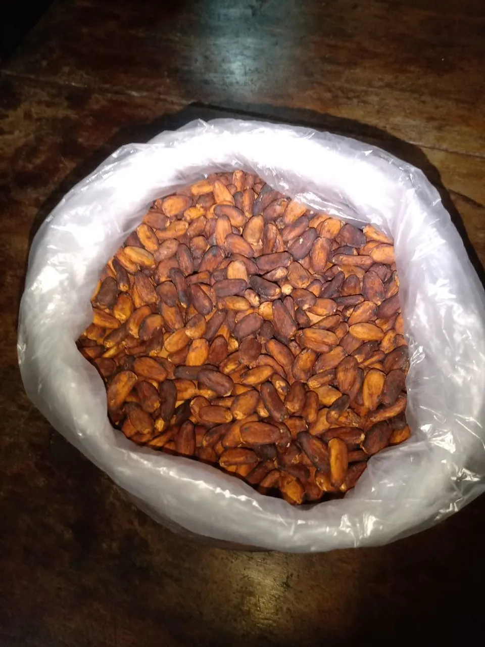 Amêndoas de Cacau secas