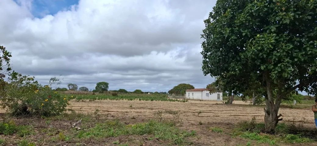 Terrenos para sítio a 8 minutos do centro de Lagoa Nova - Foto 4
