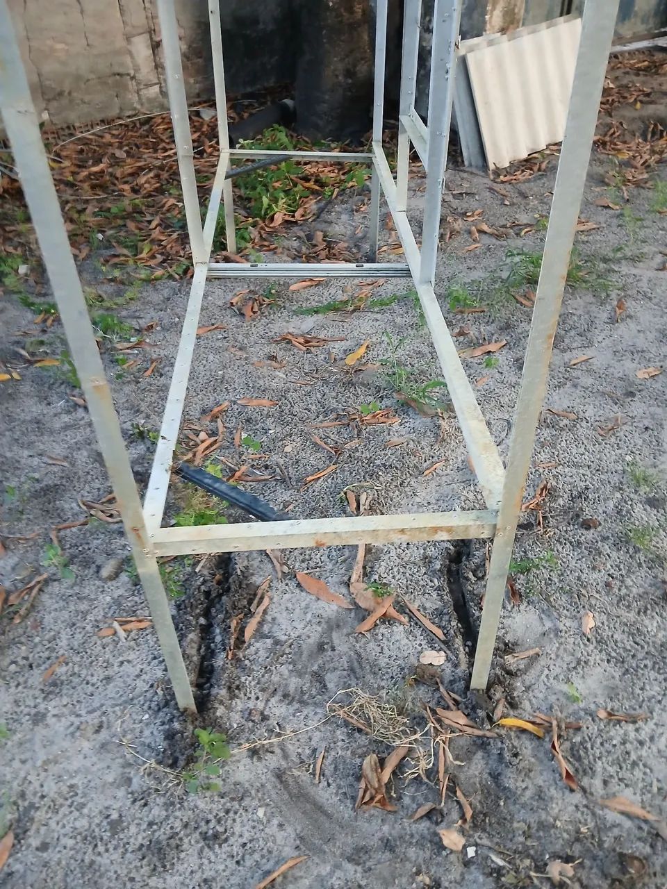 Animais de estimação 