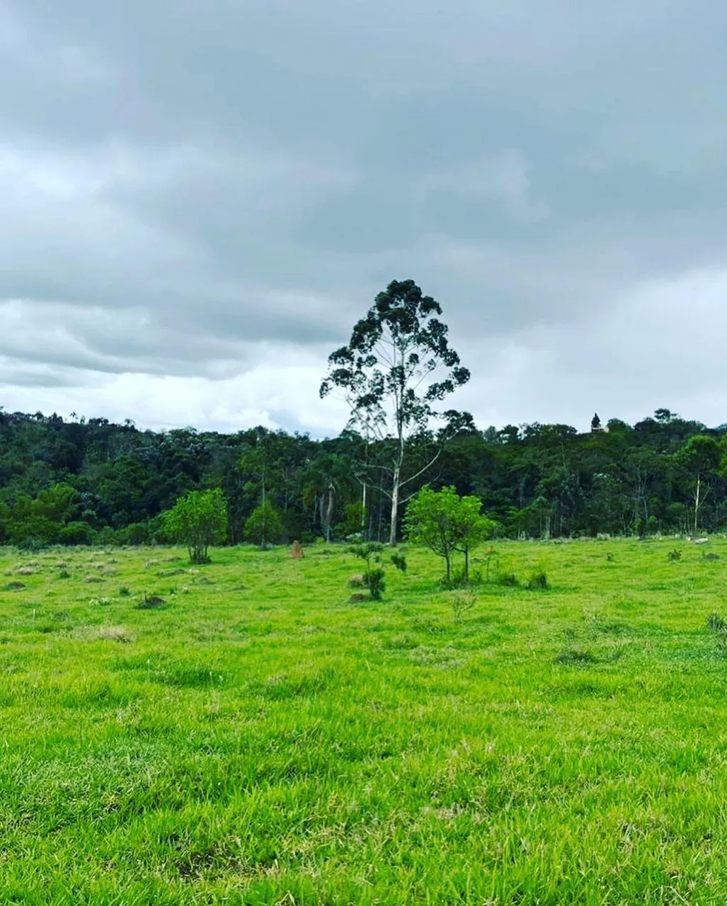 LINDOS TERRENOS EM GUARAREMA PROXIMO AO CENTRO 8 KM