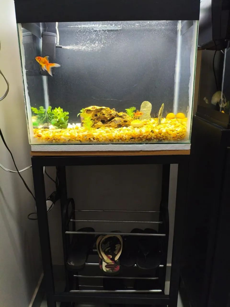 Aquário 50 x 40 x 30 completo