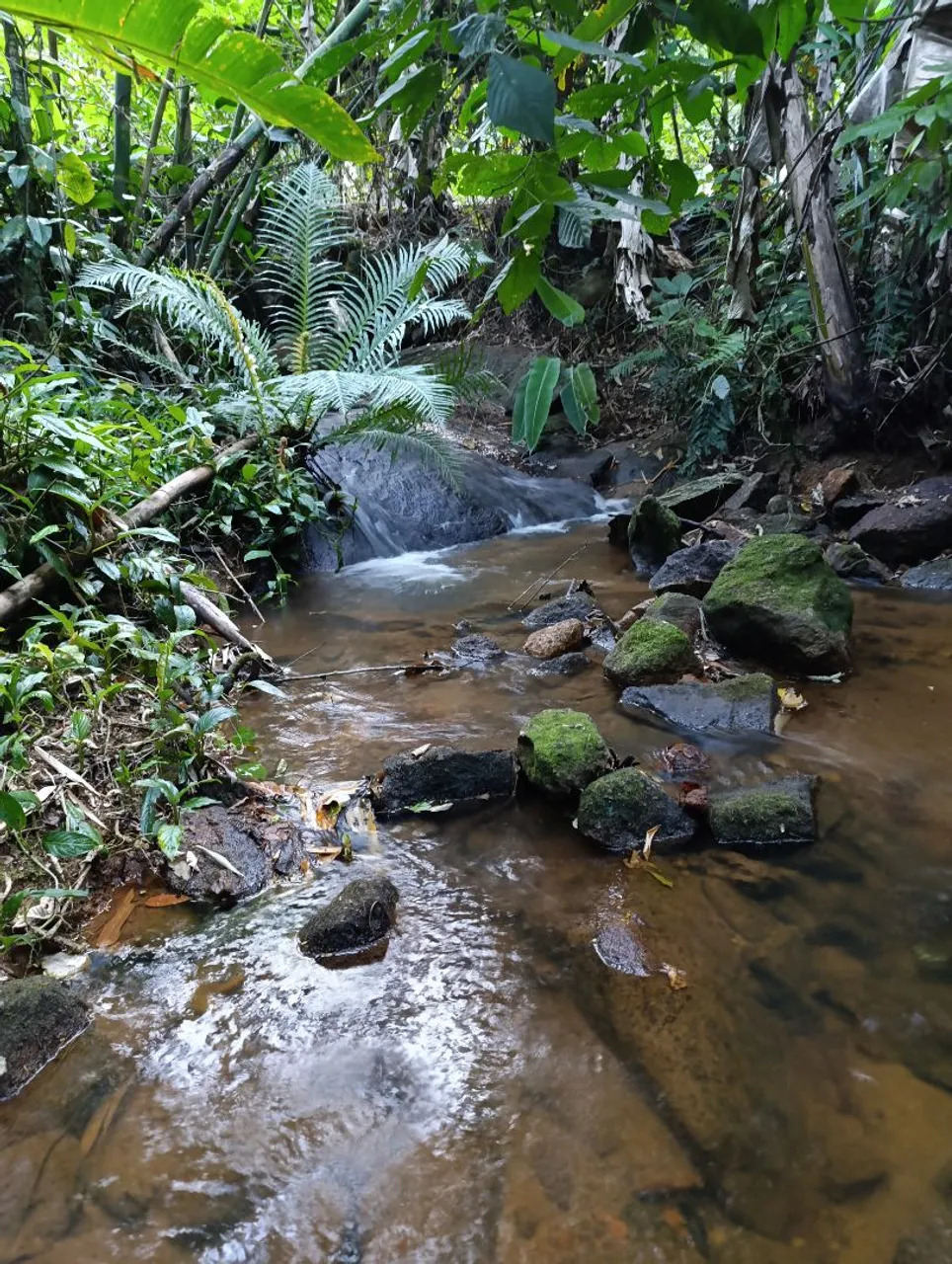 Vendo 10.000m² escriturado.