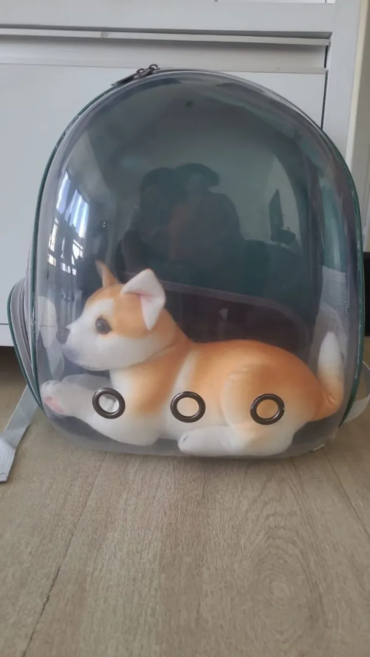 Mochila transporte para pet