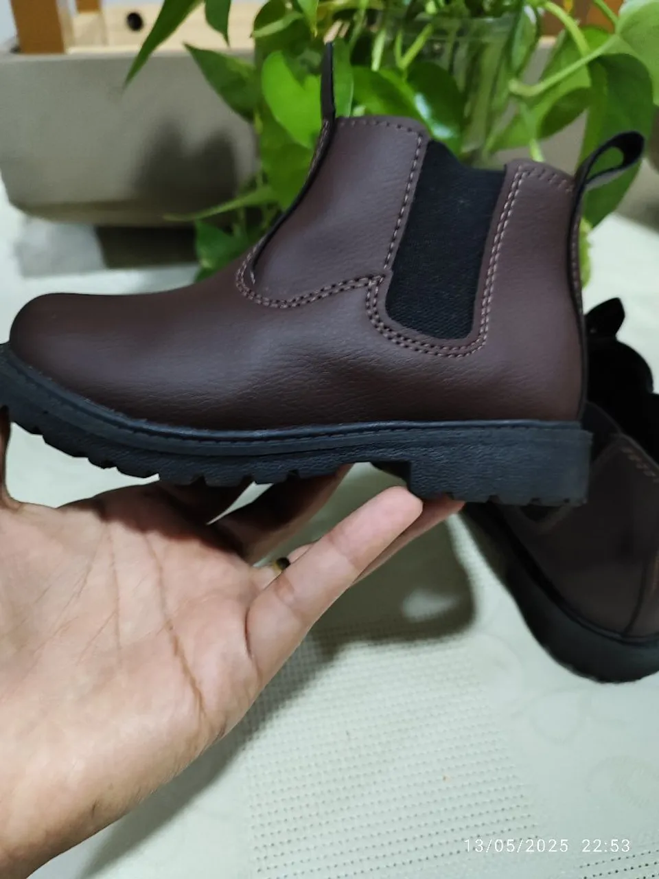 Bota