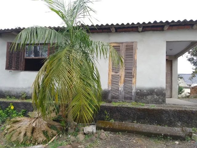 Foto - Criciúma - Laranjinha