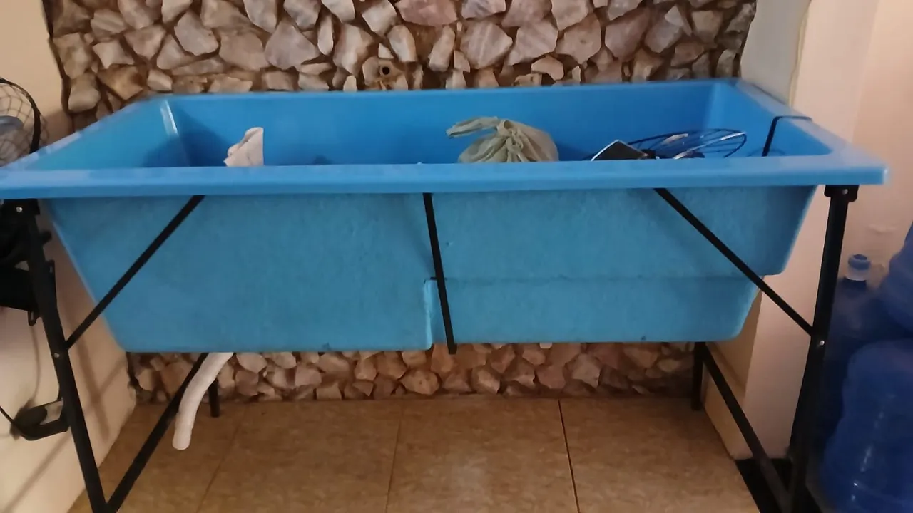material banho e tosa