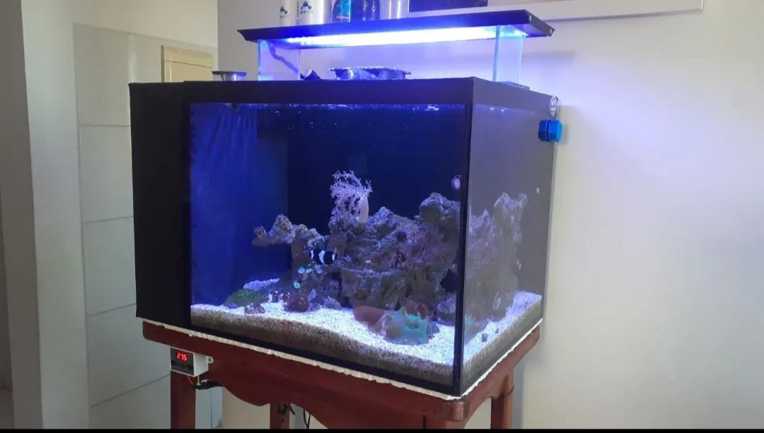 Vendo aquário marinho completo  - Foto 4