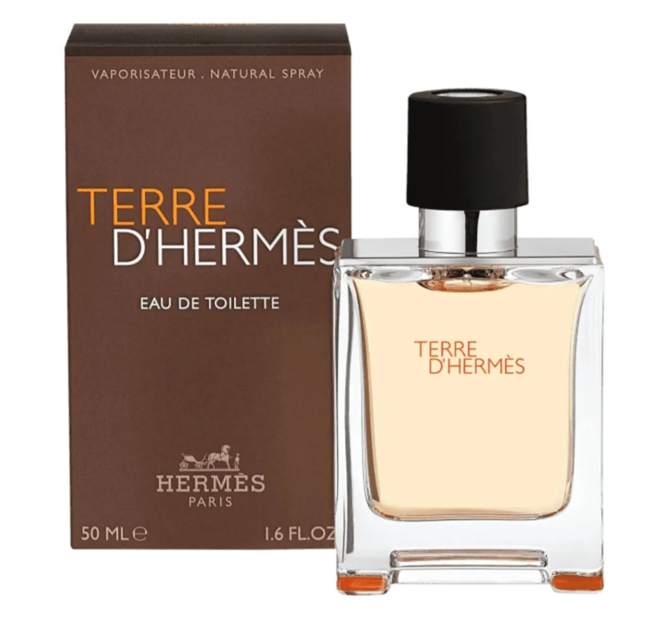 Perfume Terre d'Hermès Eau de Toilette 50ml