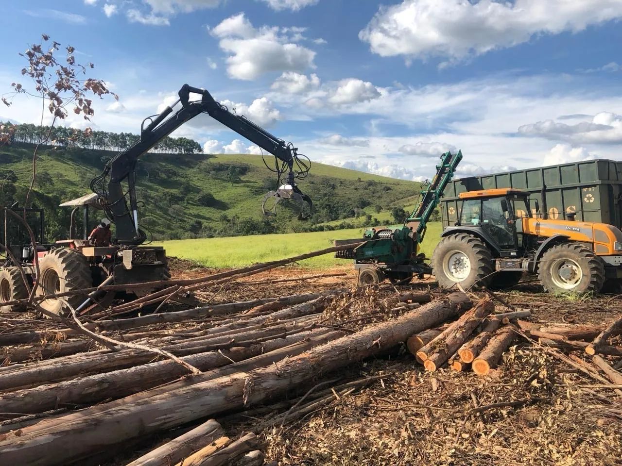 Picador Florestal Planalto - Modelo PFP 250 x 60 - Foto 4